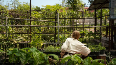 The Edible Revolution: Turning Home Gardens into Sustainable Food Sources with Horticultural Expertise