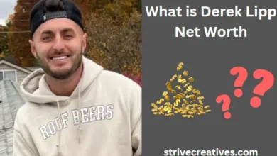 What is Derek Lipp's Net Worth: Exploring the Fortune