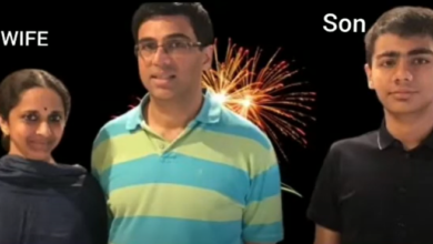 viswanathan anand net worth