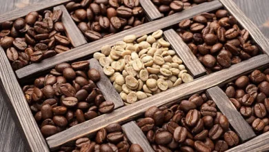 Beyond Arabica and Robusta: Discovering the World of Rare Coffee Beans