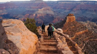 Exploring the Grand Canyon State Top Adventures in Arizona