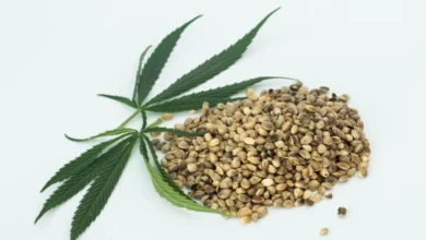 The Complete Guide To Different Types of Cannabis Seeds